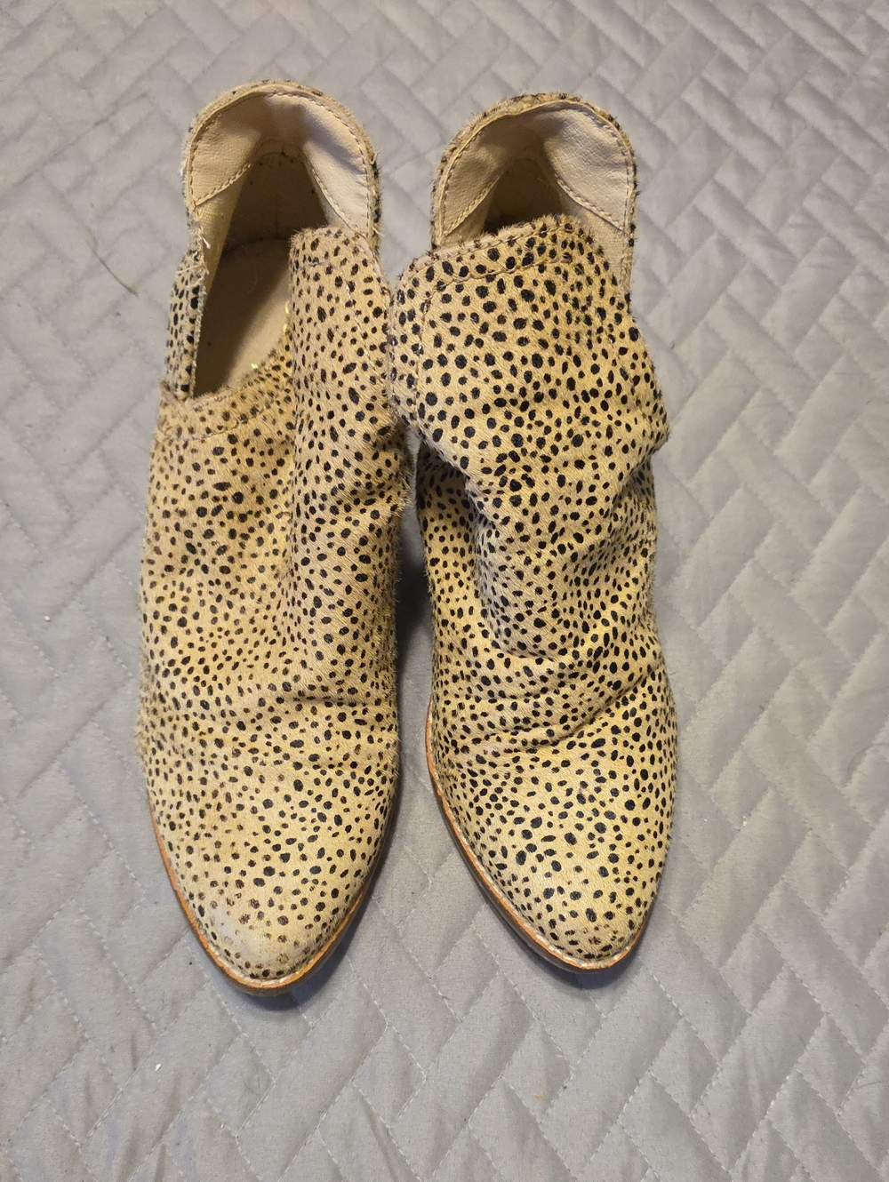 Coconuts by Matisse Tan and Black Spotted Ankle Booties